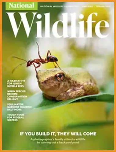 National Wildlife – Spring 2026
